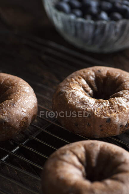 Donuts de mirtilo em um rack de arame — Fotografia de Stock
