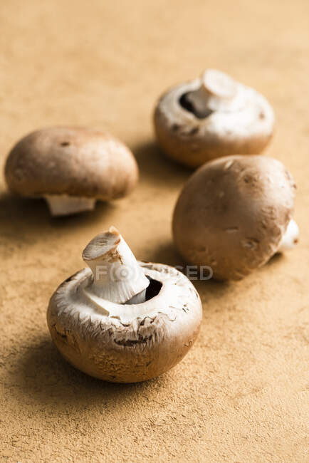 Nahaufnahme des köstlichen Portobello-Pilzes — Stockfoto