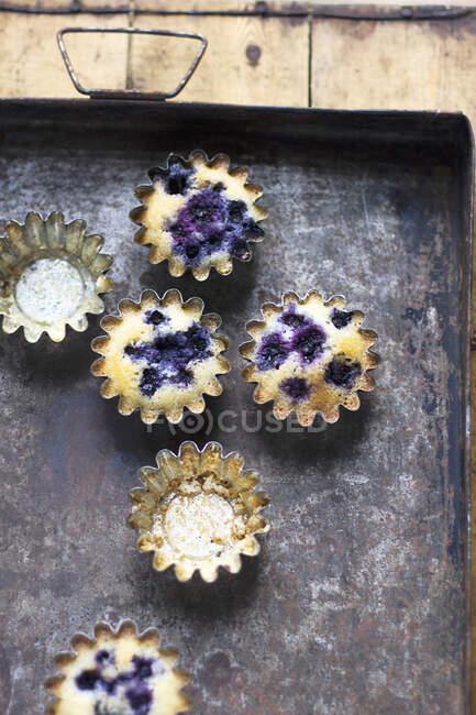 Blueberry friands in baking tins on a rustic tray — Stock Photo