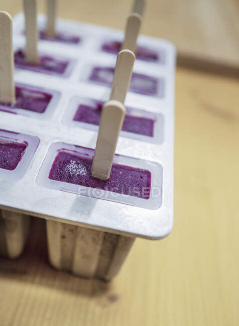 Hausgemachtes Joghurt-Eis am Stiel in Form eines Eis am Stiel — Stockfoto