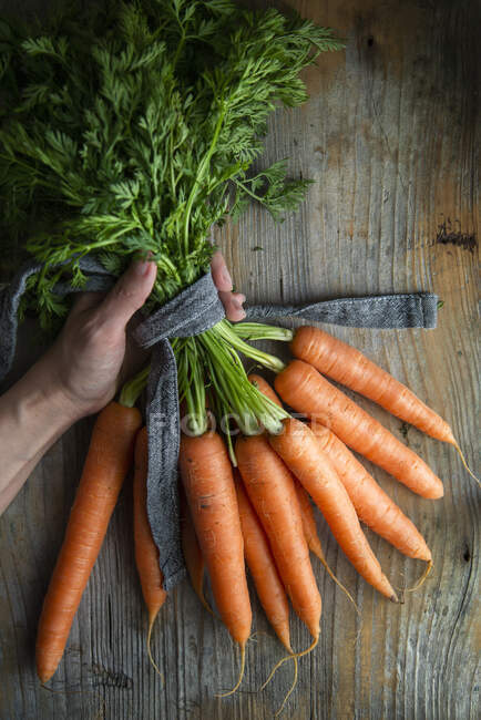Main tenant un bouquet de carottes sur une vieille surface en bois — Photo de stock