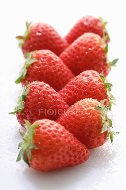 Deux rangées de fraises fraîchement lavées — Photo de stock