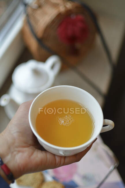Крупный план вкусной чашки чая в руках — стоковое фото