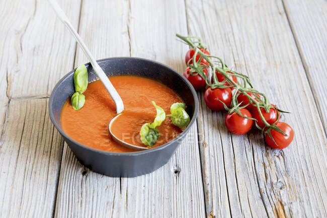 Salsa de tomate con albahaca - foto de stock