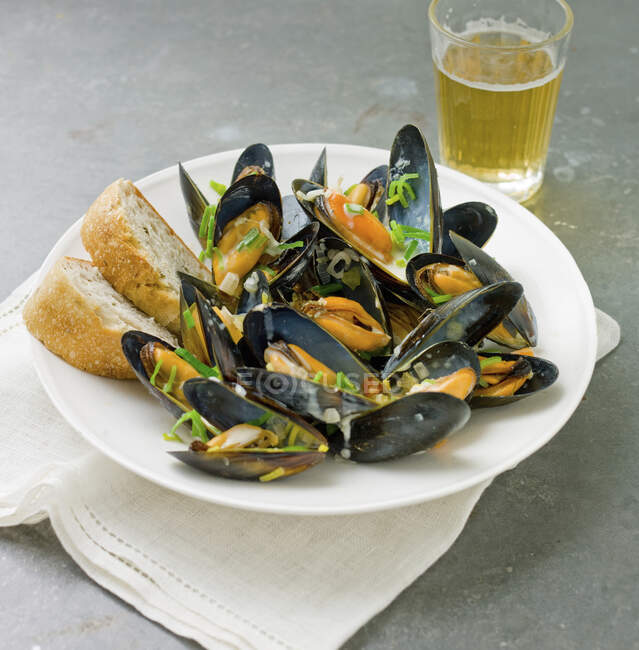 A pint of muscles in their shells, in a white bowl with crusty French bread and a glass of beer — Stock Photo