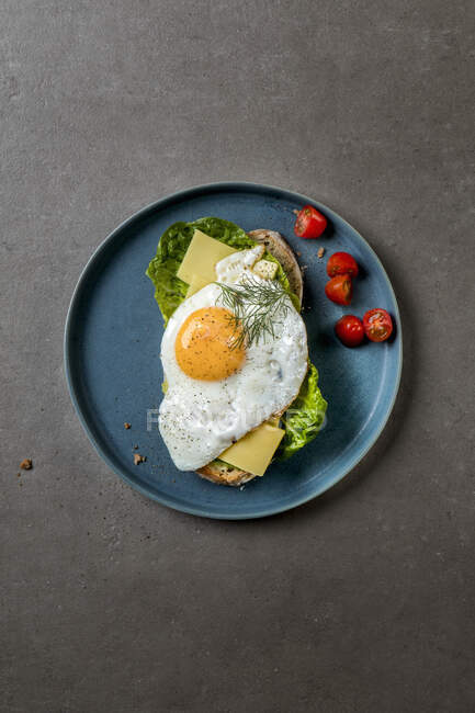Bread topped with lettuce leaves, tomatoes, mountain cheese, fried egg and dill — Stock Photo