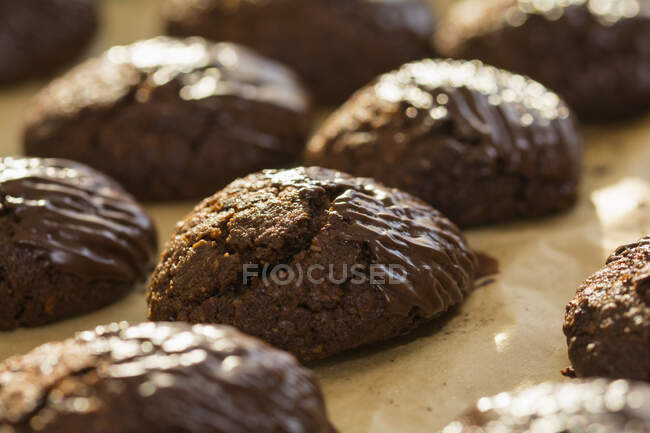 Chocolate biscuits on baking paper — Stock Photo