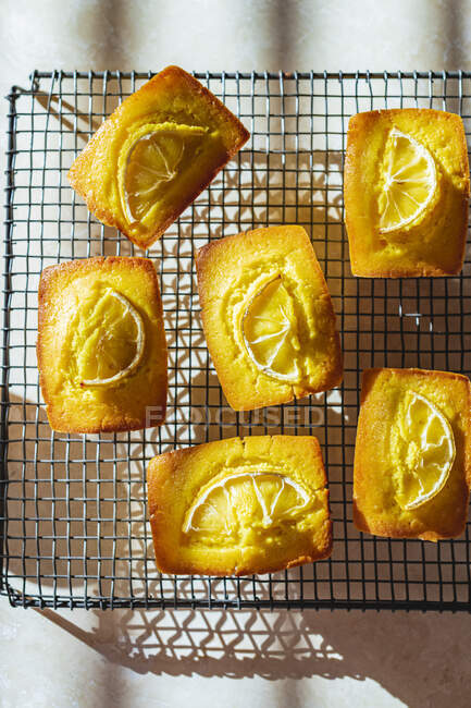 Lemon Turmeric Cakes top view - foto de stock