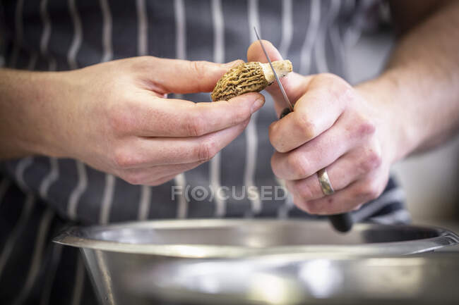 Ein Morchelpilz wird zubereitet — Stockfoto