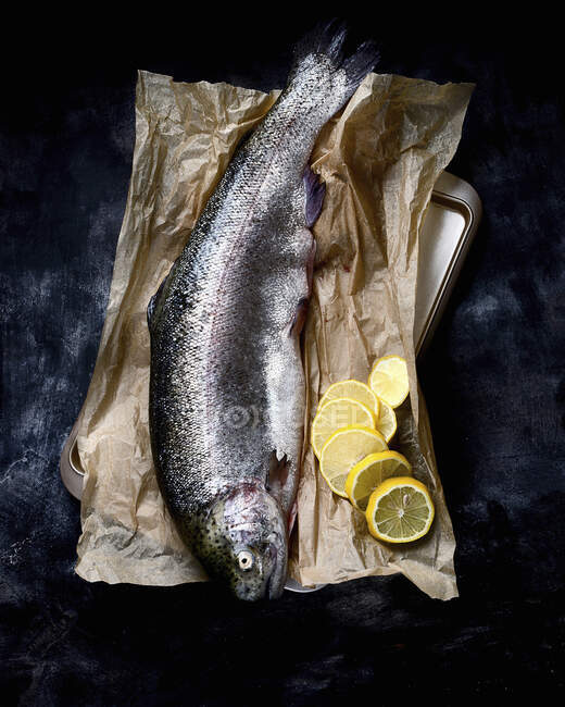 Whole fresh salmon trout on black background — Photo de stock