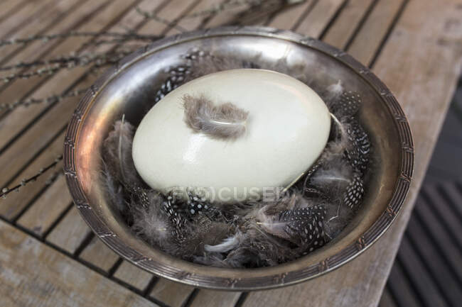 Nandu egg with feathers as an Easter decoration — Stock Photo