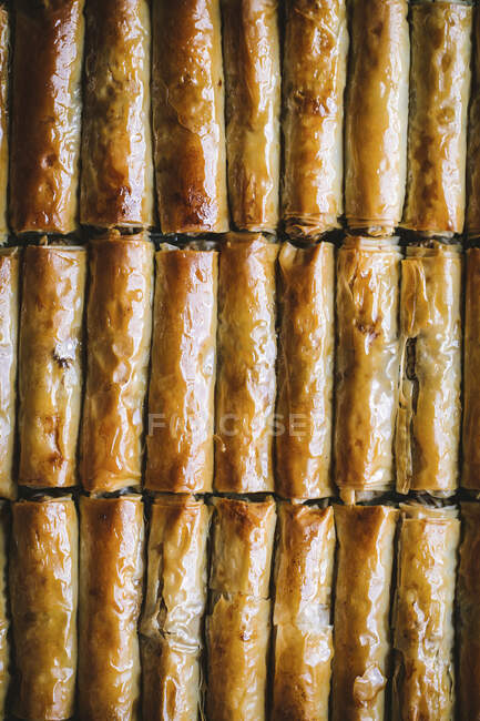 Baklava rolls, closeup shot — Stock Photo