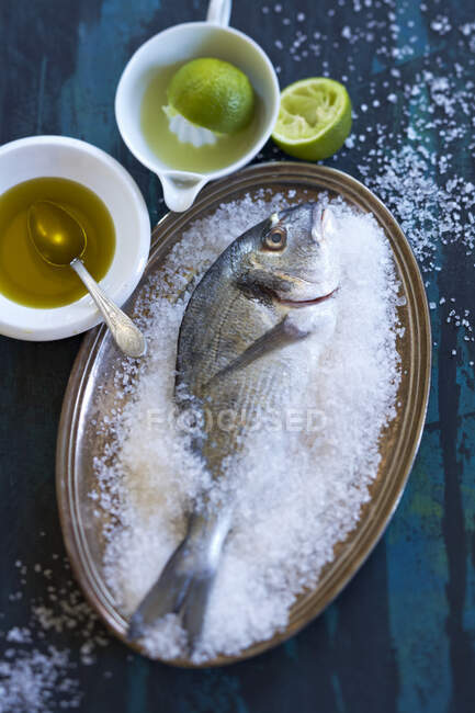 Морской лещ в соли с оливковым маслом и лаймами — стоковое фото