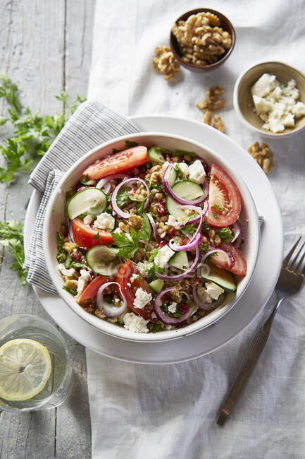 Vegeterian lentil salad with feta — Stock Photo