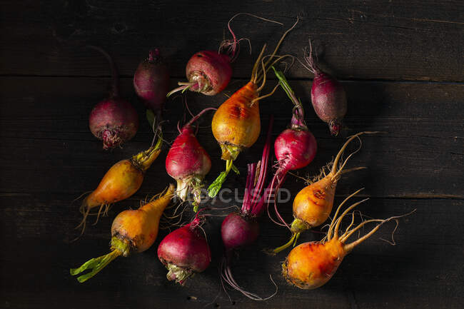 Different types of beet — Stock Photo