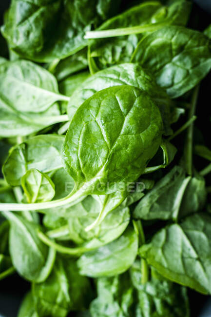 Hojas de espinacas verdes frescas sobre un fondo negro - foto de stock