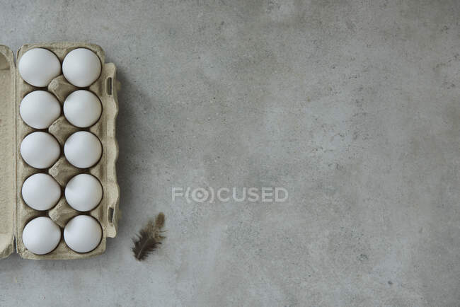 Ovos em recipiente de papel e penas marrons — Fotografia de Stock