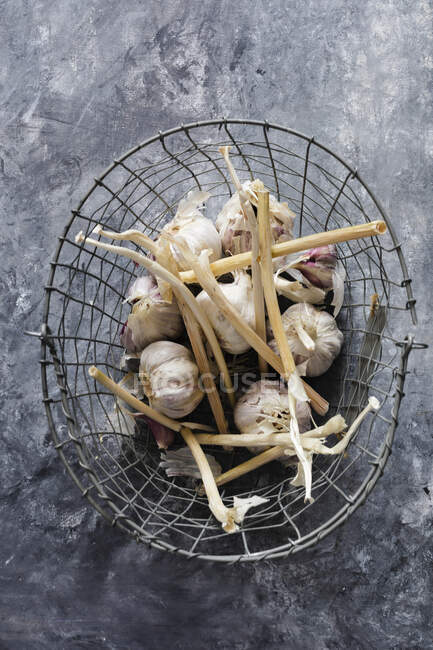 Primer plano de deliciosos bulbos de ajo en una cesta de alambre - foto de stock