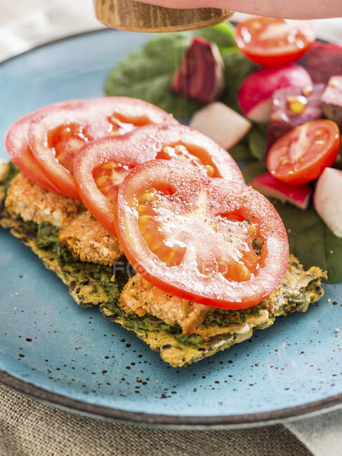 Homemade gluten free seed cracker with vegan pesto, tofu and tomatoes, served with side salad — Stock Photo
