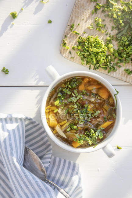 Minestrone with fresh herbs — Stock Photo