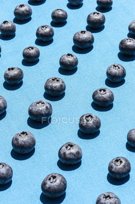 Blueberries in diagonal rows laid out on a blue background — Stock Photo