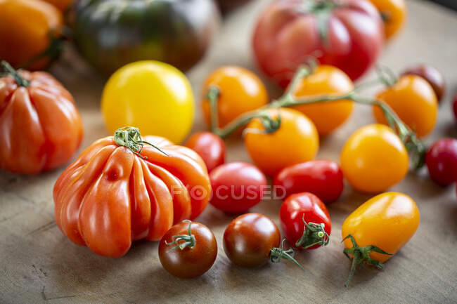Vários tipos de tomates frescos, tiro de perto — Fotografia de Stock