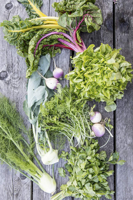 Various garden vegetables, lettuce and herbs on a wooden surface — Stock Photo