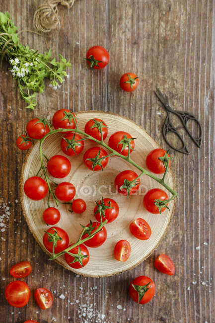 Tomates fraîchement cueillies et origan — Photo de stock