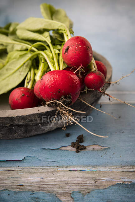 Freshly picked radishes in a wooden bowl — Stock Photo
