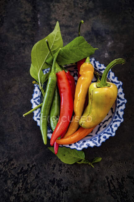 Fresh chilli peppers (green, yellow, red) with leaves — Stock Photo