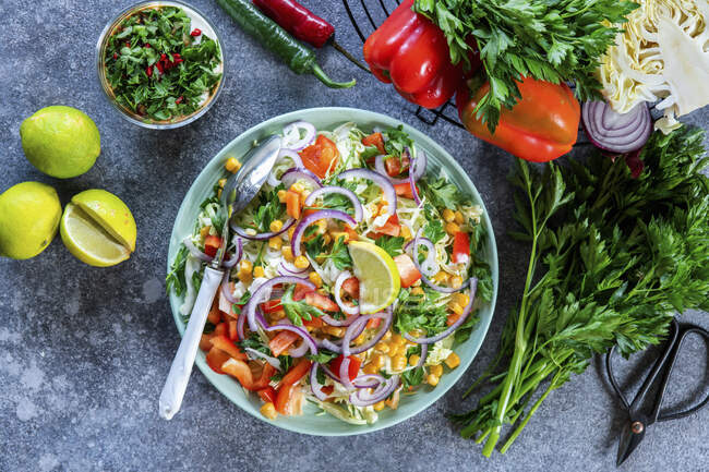 Cabage salad with chili and lime dressing — Stock Photo