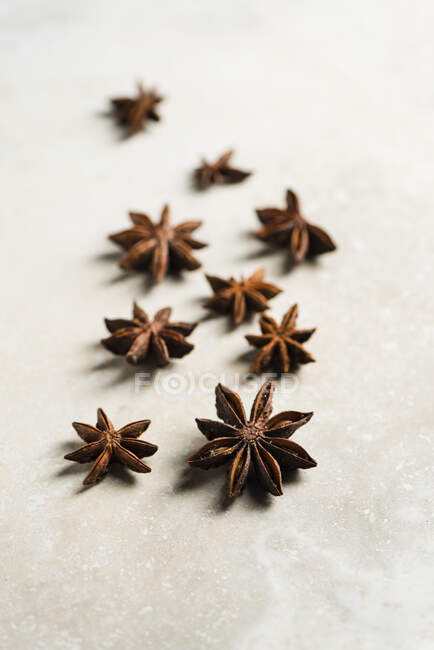 Whole star anise close-up view — Stock Photo
