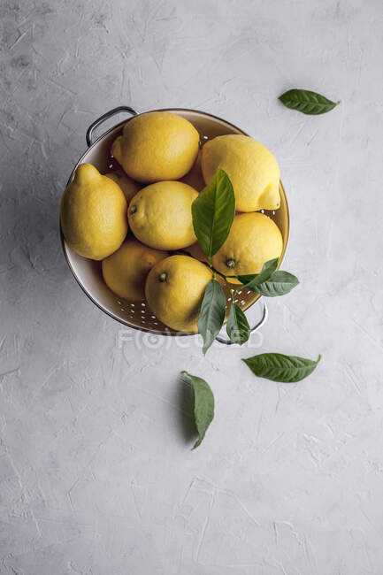 Close-up shot of delicious Lemons in a bowl — Stock Photo