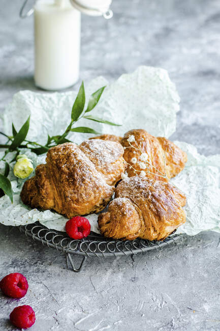 Croissant per colazione cosparsi di zucchero a velo serviti con lamponi e latte — Foto stock