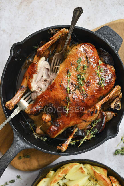 Roasted duck with thyme — Stock Photo