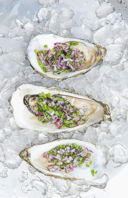 Opened oysters with chives and onions on ice — Stock Photo