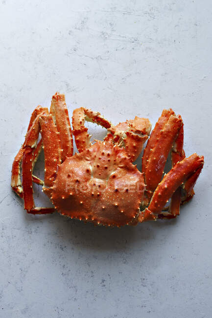 Big whole alaskan crab — Stock Photo