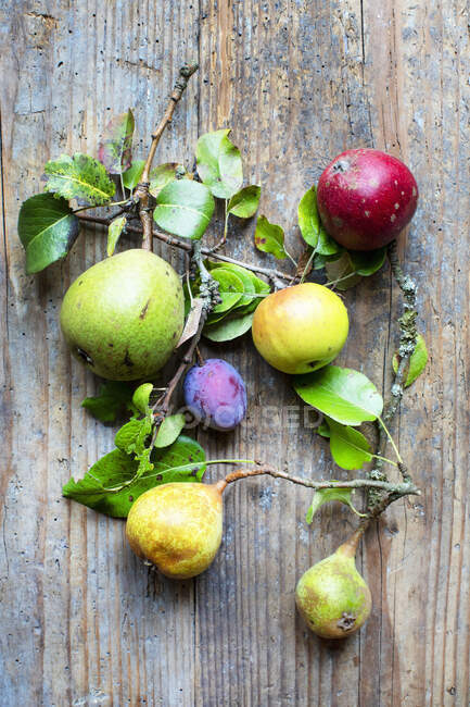 Different types of fruit from orchard on wooden background — Stock Photo