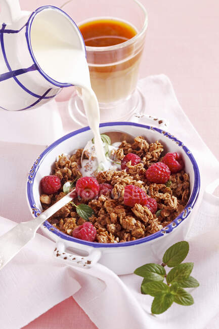 Chocolate muesli with raspberries, mint, yoghurt and milk — Stock Photo