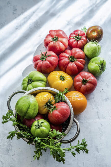 Verduras frescas sobre un fondo gris. - foto de stock