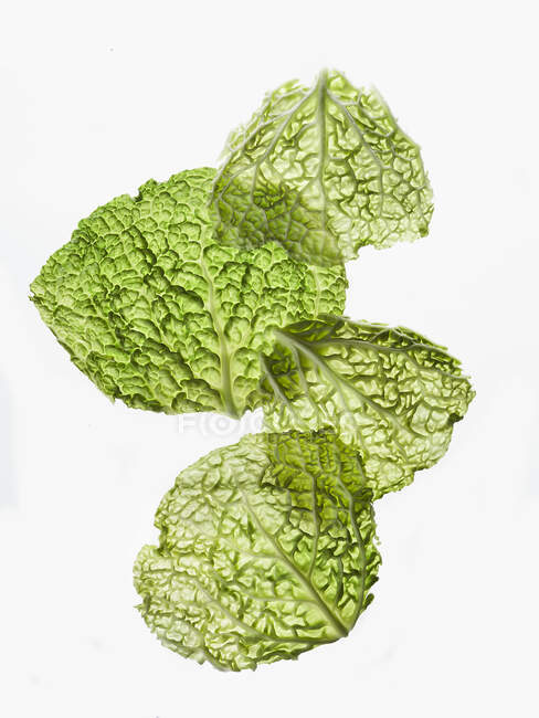 Two Fresh Savoy Cabbage Leaves on White — Stock Photo