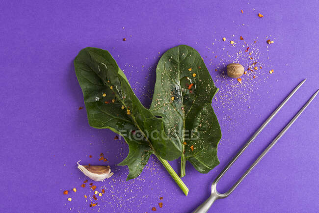 Spinaci freschi, spezie e una forchetta di carne su una superficie viola — Foto stock