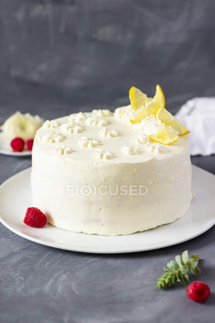 Himbeer-Rhabarber-Kuchen mit Zitronencreme — Stockfoto