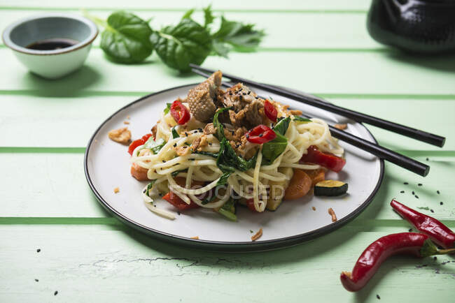 Macarrão asiático com legumes, mizuna e salada misome e pato simulado (pato vegan feito de proteína de trigo) — Fotografia de Stock