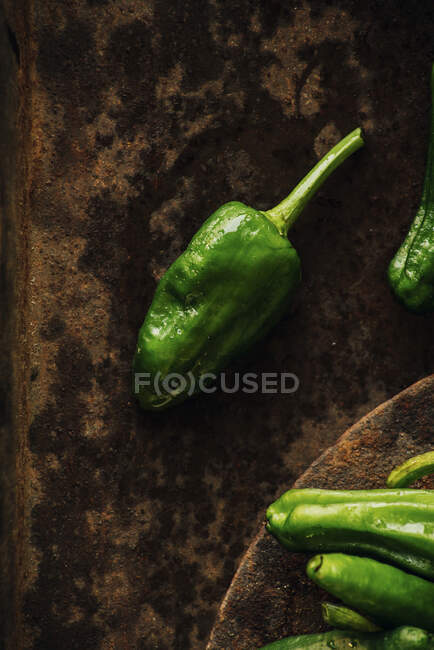 Fresh green pimientos de padron — Stock Photo