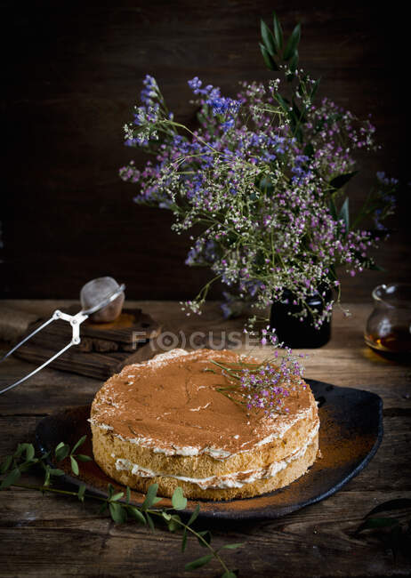 Tiramisu cake on dark wood — Stock Photo