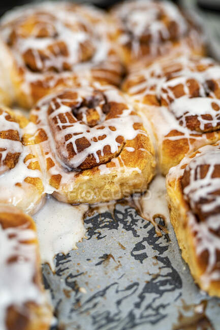 Sourdough cinnamon rolls glazed with icing on a tray — Stock Photo