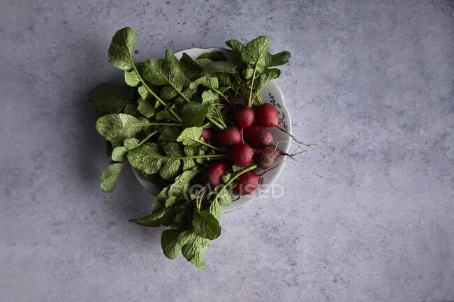 Fresh radishes in bowl on gray background — Stock Photo