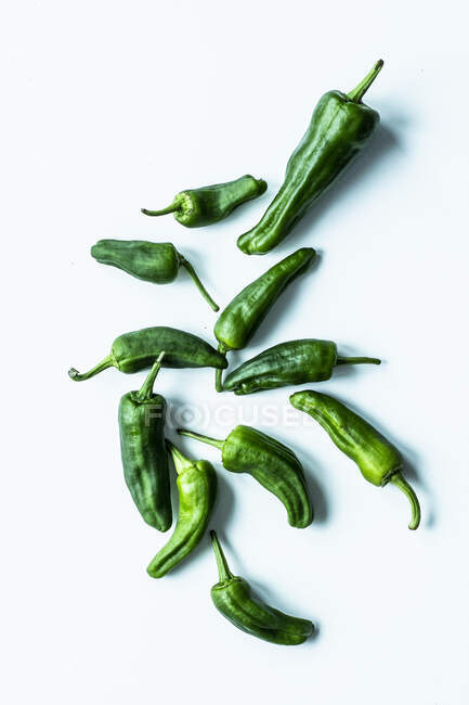Roasted pepper (pimientos de padron) — Stock Photo