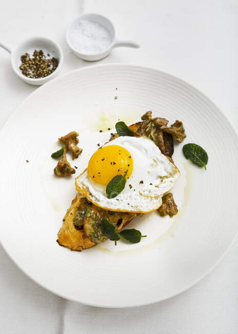 Fried egg, with mushrooms on white crusty toast, with sage, black pepper and salt in white bowls — Stock Photo